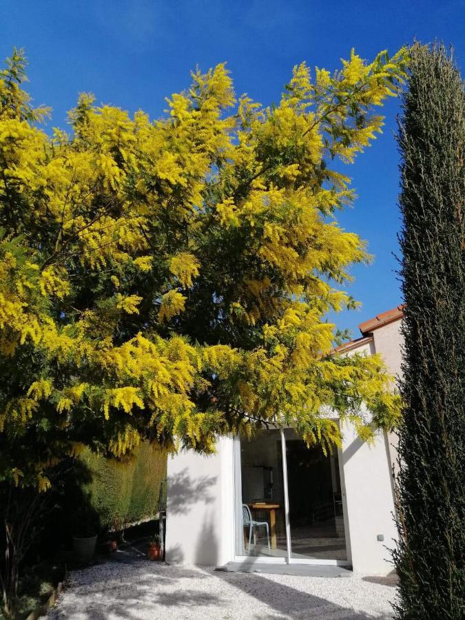 Chambre D'Hotes Chevrefeuille Moltig les Bains Bagian luar foto